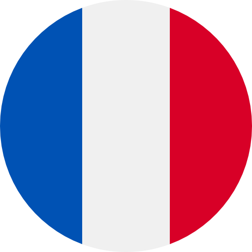 French language course